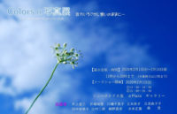 o1099071314666935371