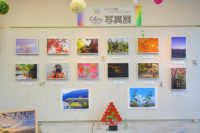 DSC09698-3
