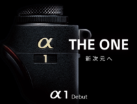 α 1