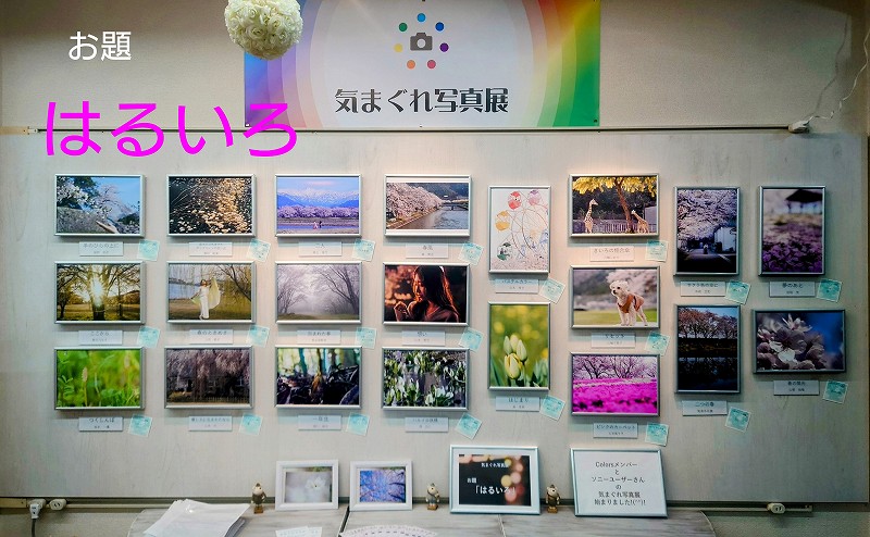 第二回 ちえさんの気まぐれ写真展 パフパフ - 家電、リフォーム工事、カメラの事なら滋賀県米原市のソニーショップカワバタ電機へ-上下水道認定店